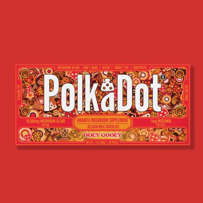 PolkaDot Chocolate Mushroom Bar Ooey Gooey