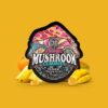 TRE House Mushroom Gummies Sour Tropical