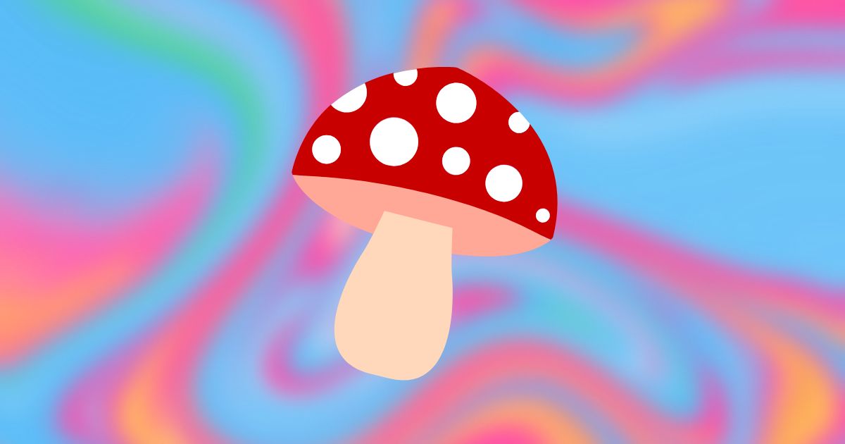 Nootropic mushrooms