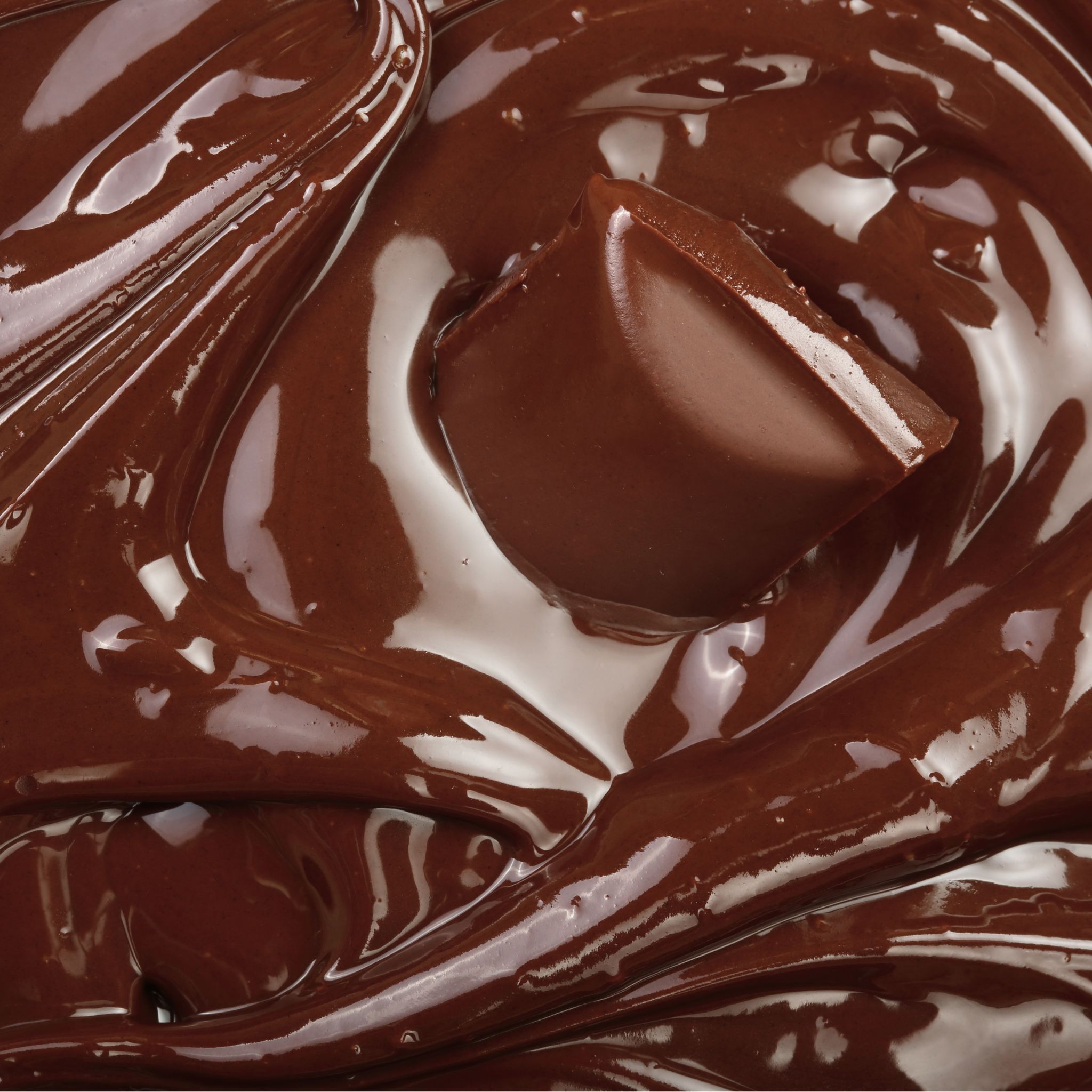 Mushroom Chocolate